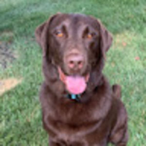 Meet your Posher, Jackie